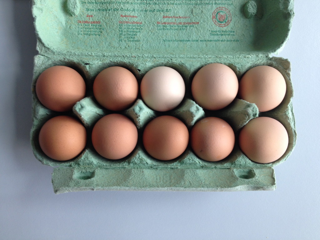 Tauschgeschäft Gurken gegen frische Eier Foto: Uta Richter