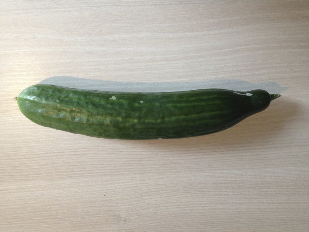 Zwei Sorten der Salatgurke Foto: Uta Richter