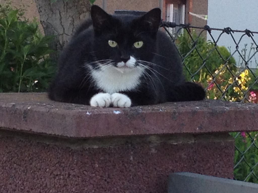 Die Dame am Empfang Foto: Uta Richter