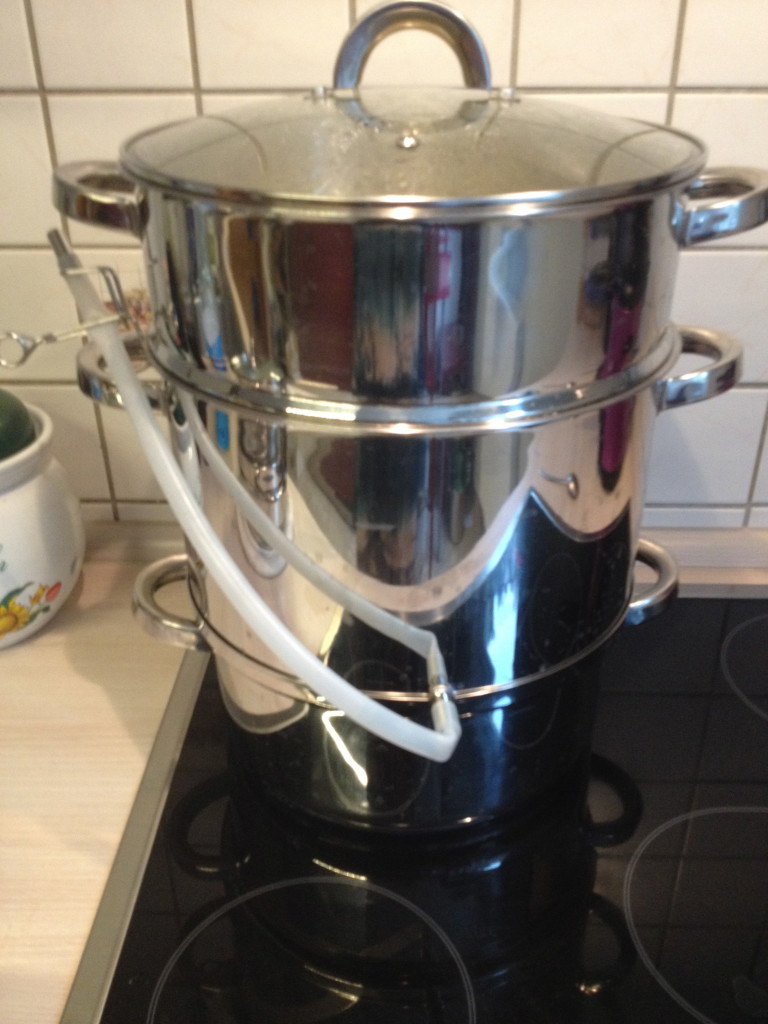 Dampfentsafter im Test Foto: Uta Richter