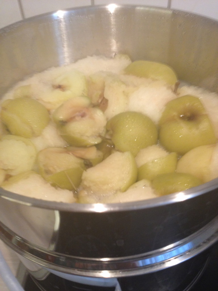 Dampfentsafter im Test Foto: Uta Richter