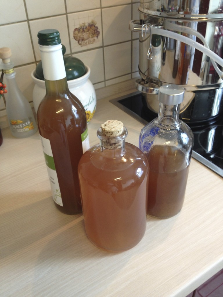 Dampfentsafter im Test Foto: Uta Richter