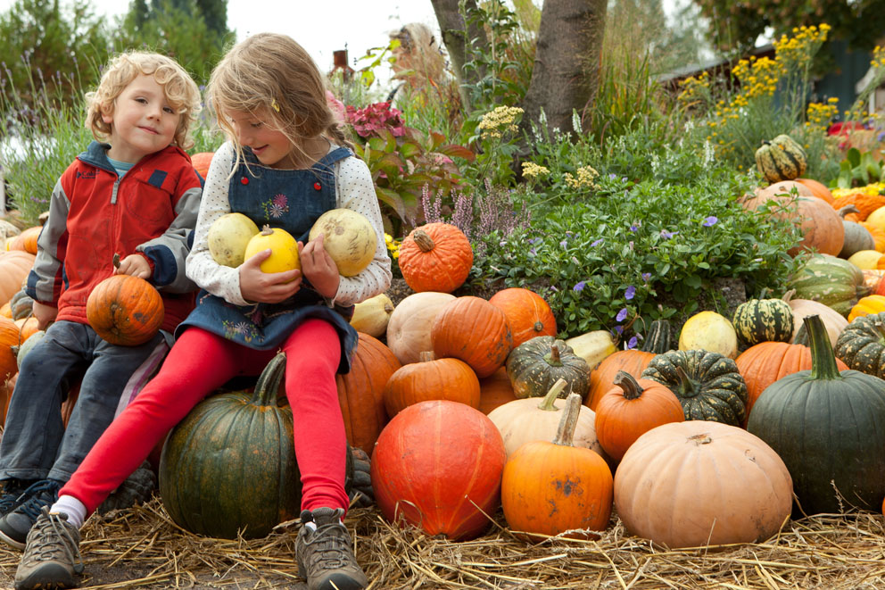 Traditionsfest in den Späth’schen Baumschulen Foto: Daniela Incoronato